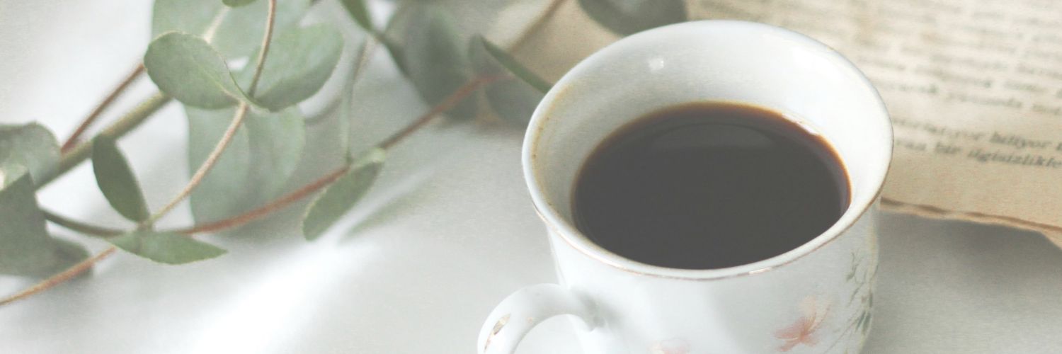 Sustainable Social Media for Authors